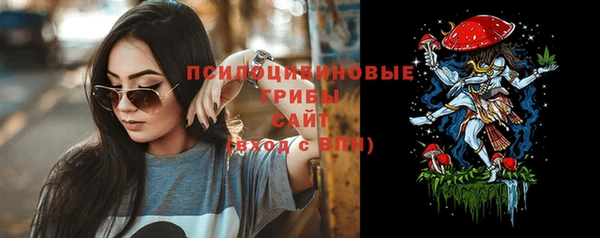 индика Алексеевка