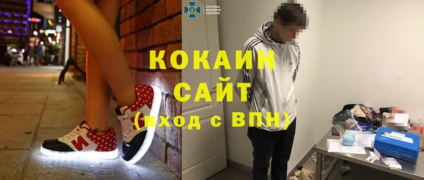 индика Алексеевка