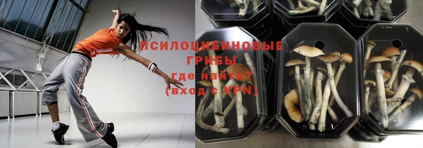 индика Алексеевка