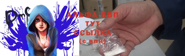 винт Алексин