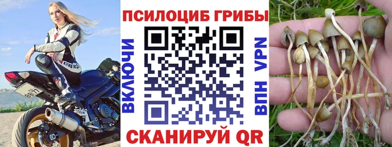 omg ссылка  Бронницы  Псилоцибиновые грибы ЛСД  наркота 